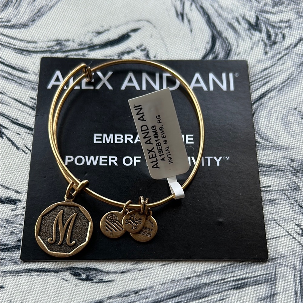 Alex and Ani Gold Minimalist Bangle Bracelet